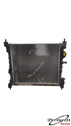 RADIATORE RAFFREDDAMENTO... 2
