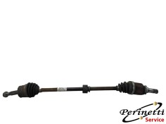 SEMIASSE ANTERIORE DESTRO...