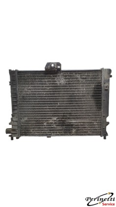 RADIATORE RAFFREDDAMENTO... 2
