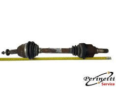 SEMIASSE ANTERIORE SINISTRO... 2