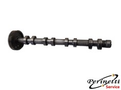 ALBERO A CAMME SCARICO...