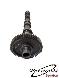 ALBERO A CAMME SCARICO... 2