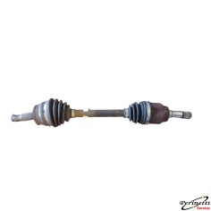 SEMIASSE ANTERIORE SINISTRO...