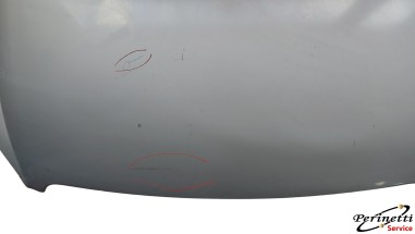 COFANO ANTERIORE  CITROEN C5 9004P0
