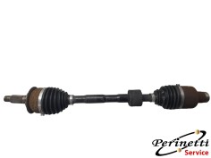 SEMIASSE ANTERIORE DESTRO...