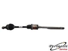 SEMIASSE ANTERIORE DESTRO...