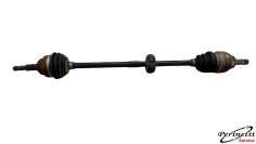 SEMIASSE ANTERIORE DESTRO...