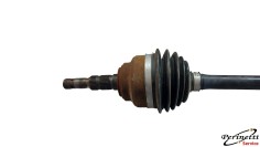 SEMIASSE ANTERIORE DESTRO... 2