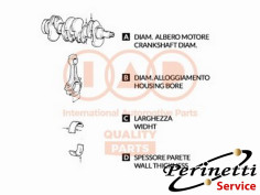 SERIE BRONZINE BANCO STD...