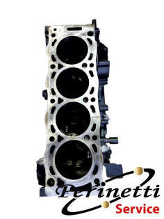 MONOBLOCCO PEUGEOT 306  2.0...
