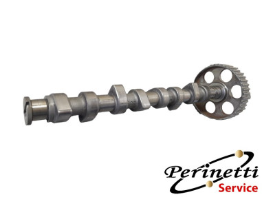 ALBERO A CAMME CON PULEGGIA AUDI /...