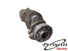 ALBERO MOTORE (61296x /... 2
