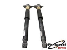 AMMOTIZATORI POSTERIORI...