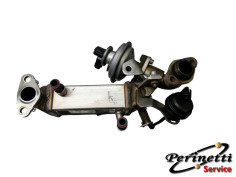 SCAMBIATORE EGR  BMW E90...