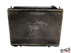 RADIATORE ACQUA  OPEL... 2