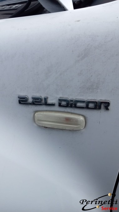RICAMBI TATA XENON 2.2 L DICOR