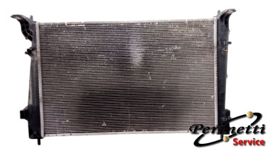 RADIATORE RAFFREDDAMENTO ACQUA  ALFA...