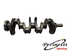 ALBERO MOTORE RENAULT K9K...