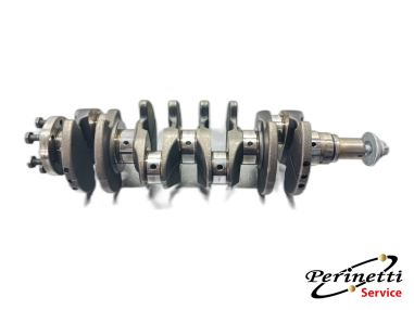 ALBERO MOTORE CITROEN / PEUGEOT 1.4 HDI