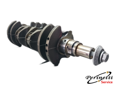 ALBERO MOTORE CITROEN / PEUGEOT 1.4 HDI