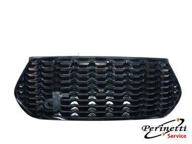GRIGLIA PARAURTI ANTERIORE DR 6.0...