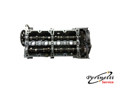 SEDE ALBERI A CAMME FIAT...