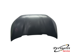 COFANO ANTERIORE AIXAM...