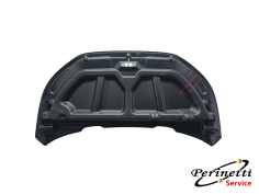 COFANO ANTERIORE AIXAM... 2