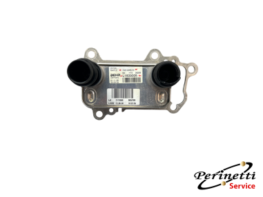 SCAMBIATORE ACQUA E OLIO BMW SERIE 1...