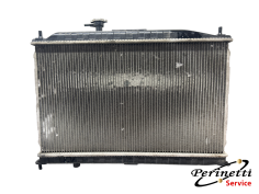 RADIATORE RAFFREDDAMENTO... 2
