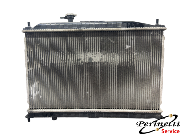 RADIATORE RAFFREDDAMENTO ACQUA EVO...