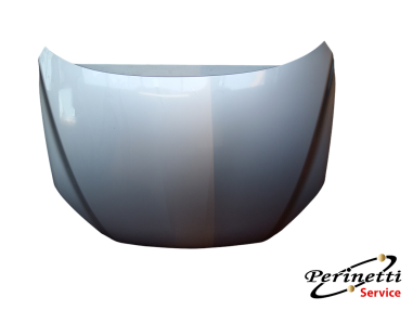 COFANO ANTERIORE TOYOTA RAV IV...