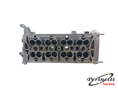 SEDE ALBERI A CAMME LANCIA... 2