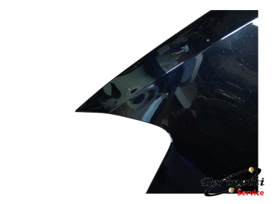 PARAFANGO ANTERIORE SINISTRO...