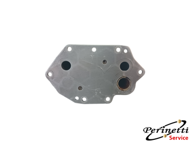 SCAMBIATORE ACQUA E OLIO BMW E60 /...
