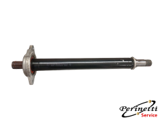 ALBERO SEMIASSE ANTERIORE...