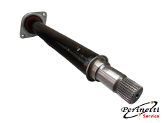 ALBERO SEMIASSE ANTERIORE... 2