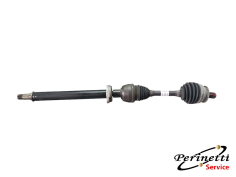 SEMIASSE ANTERIORE DESTRO...