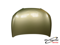 COFANO ANTERIORE SETAT...