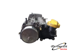 SEDE ALBERI A CAMME...