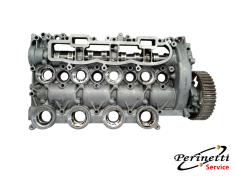 SEDE ALBERI A CAMME FORD...