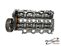 SEDE ALBERI A CAMME FORD... 2