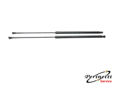 COPPIA PISTONCINI COFANO...