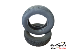 2 PNEUMATICI VIKING WINTECH...