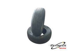 2 PNEUMATICI VIKING WINTECH... 2