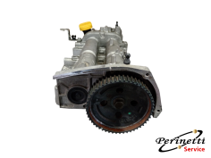 SEDE ALBERI A CAMME LANCIA... 2