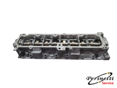 SEDE ALBERO A CAMME PEUGEOT...