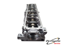 SEDE ALBERO A CAMME PEUGEOT... 2