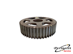 PULEGGIA ALBERO A CAMME DI...