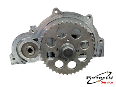 SEDE ALBERI A CAMME... 2